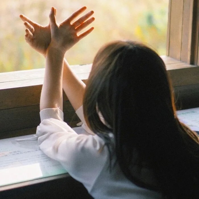 青蛙王国